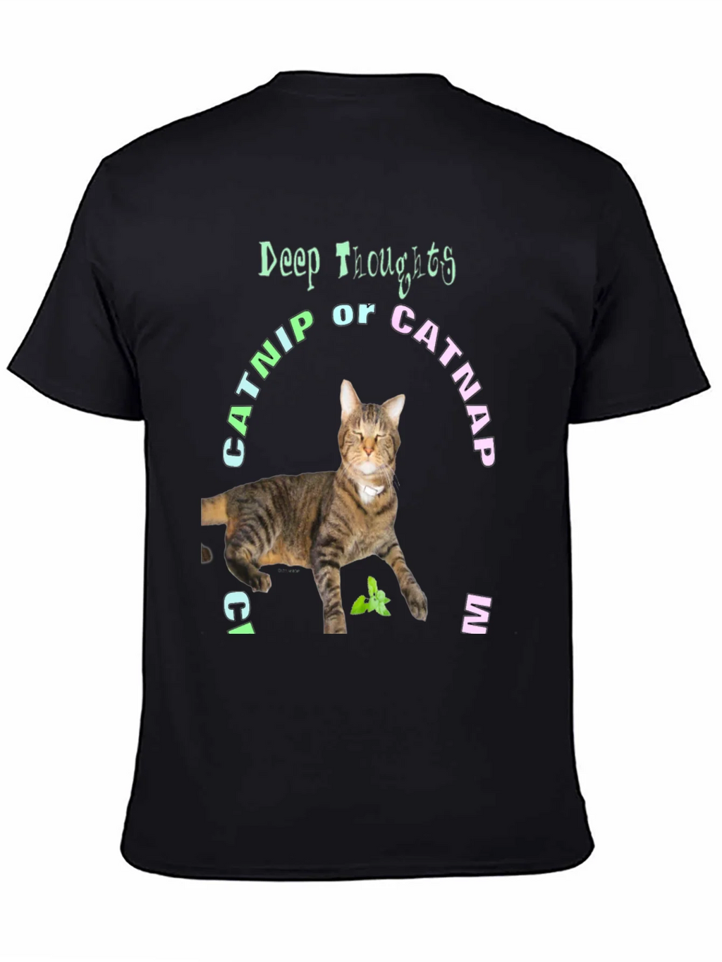Deep Thoughts Catnip or Catnap T-Shirt product image 4