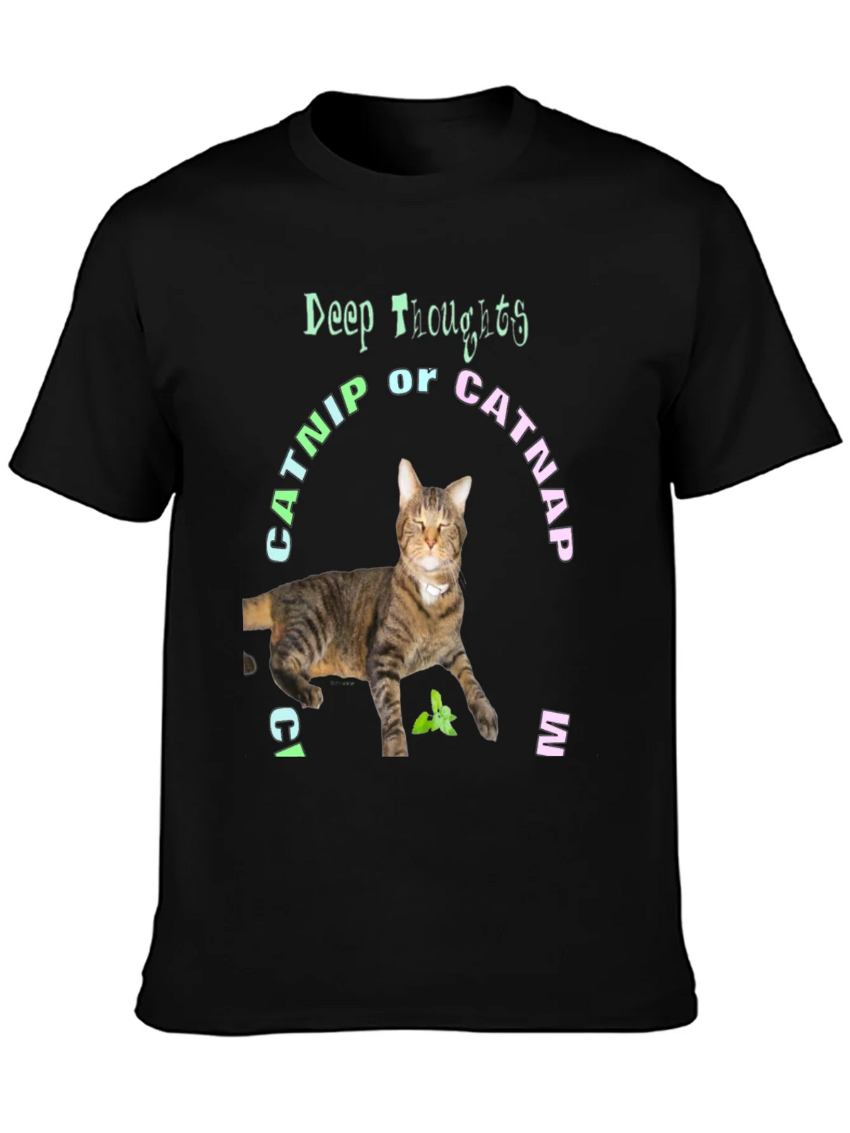 Deep Thoughts Catnip or Catnap T-Shirt product image 3