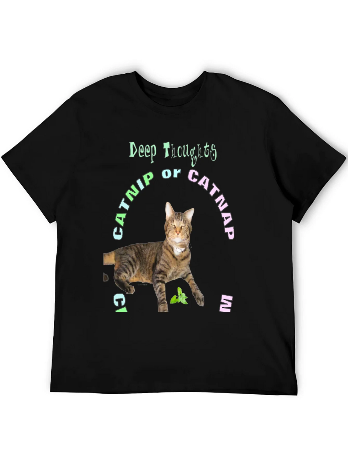Deep Thoughts Catnip or Catnap T-Shirt product image 5